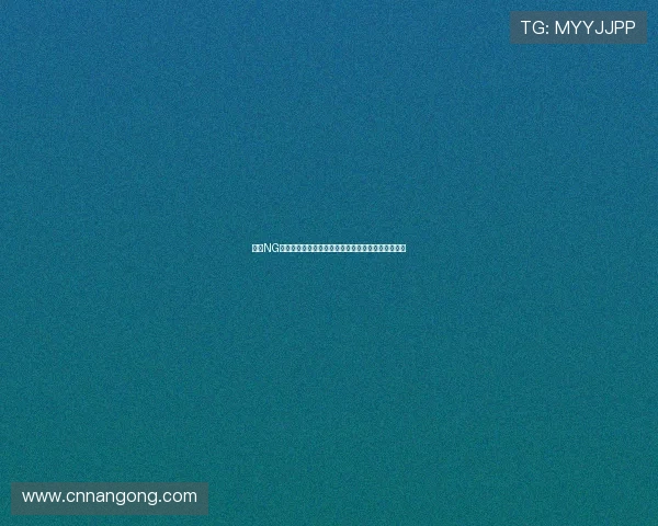 南宫NG平台打造全面的世界杯赛事资讯与球队战绩深度解读 南宫NG平台打造全面的世界杯赛事资讯与球队战绩深度解读
